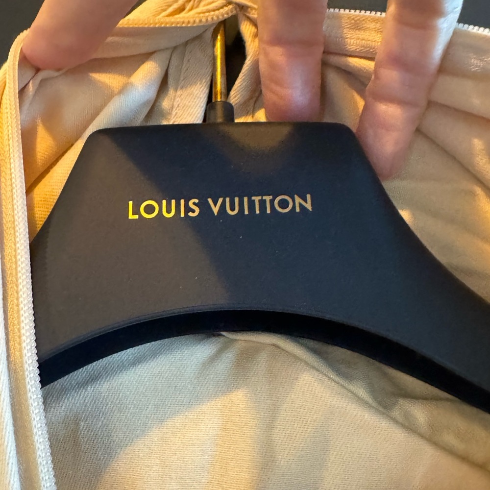 Louis Vuitton Dress Bag - Picture 2 of 5